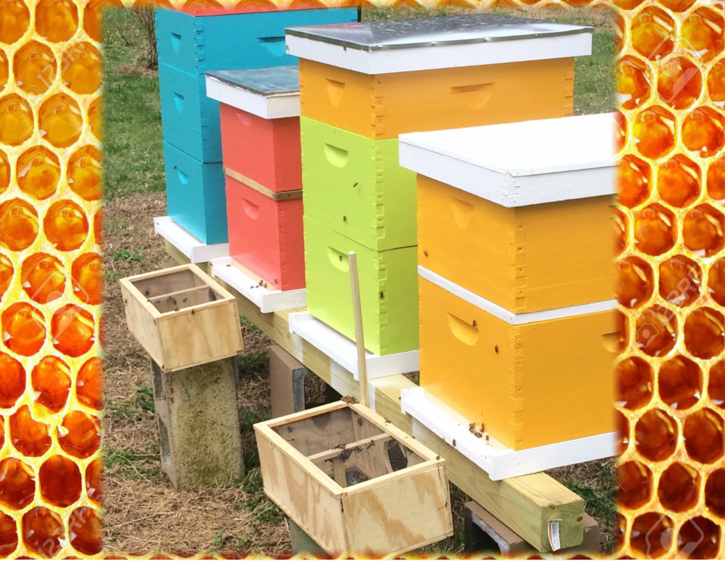 comb-hives-nucs.png