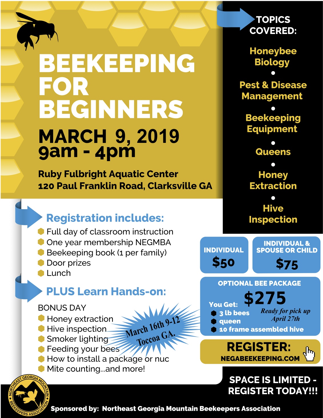 bee-class-2019.jpg