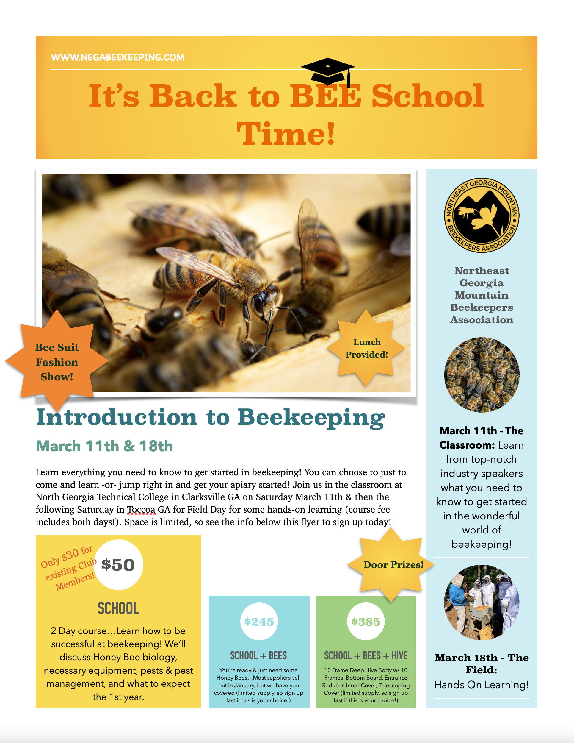 Learn About Beekeeping — Attend the 2023 Bee School