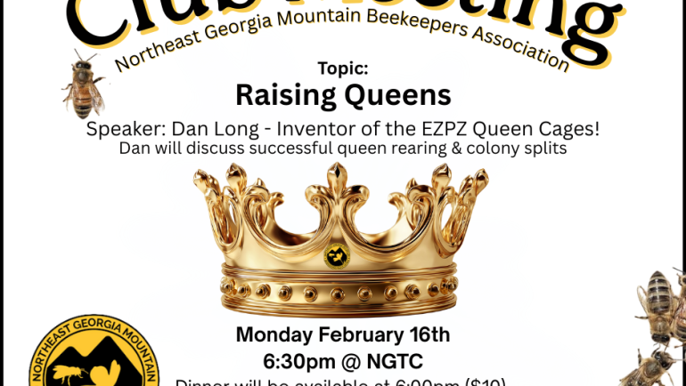 February 16th – Dan Long: Raising Queens & Splits