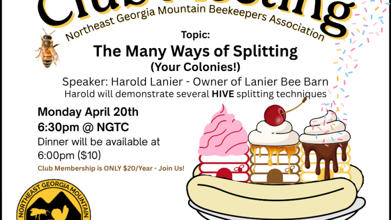 April 20 – Harold Lanier: The Many Ways of Splitting (Your Colonies!)