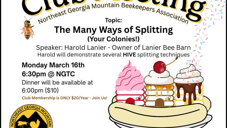 April 20 – Harold Lanier: The Many Ways of Splitting (Your Colonies!)